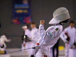 FENCING